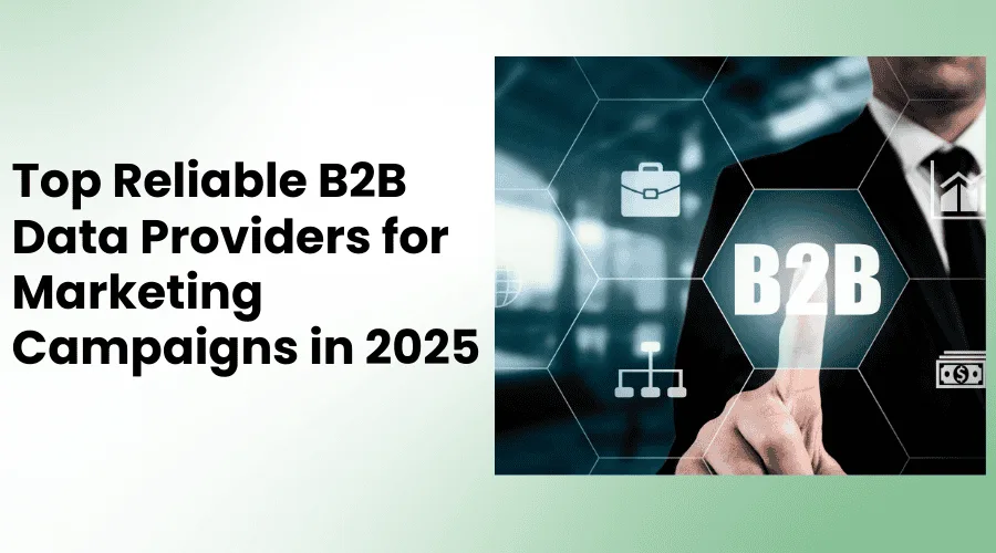 B2B Data Providers Feature