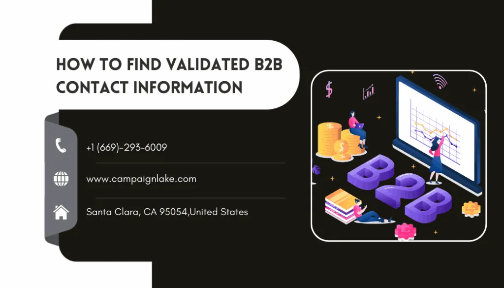 b2b contact information