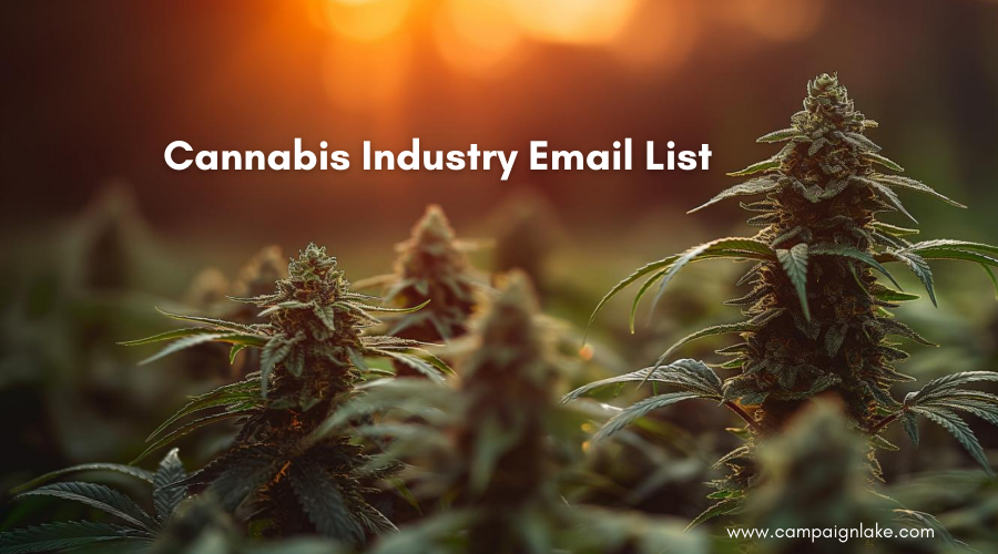 Cannabis Industry Email List