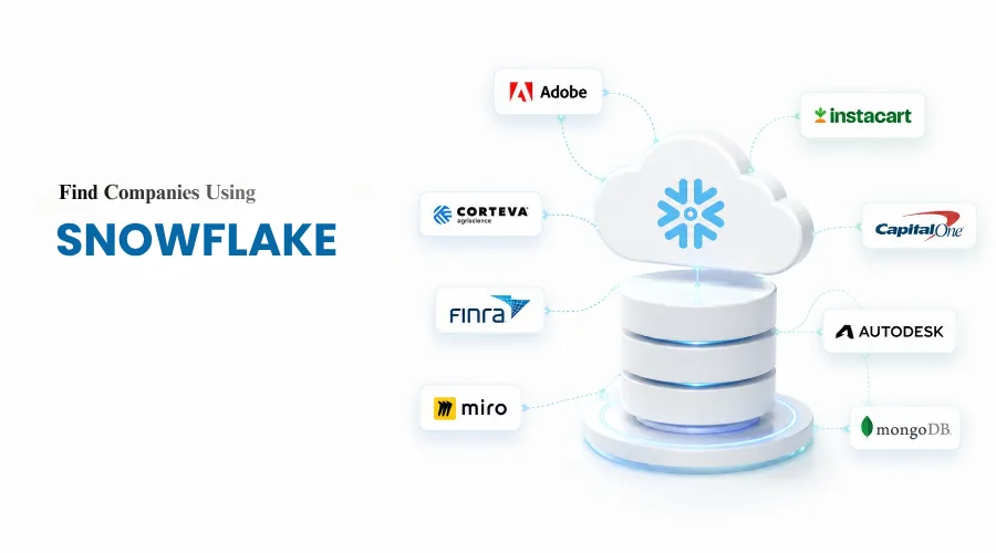 Companies Using Snowflake